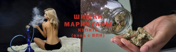 крисы Горнозаводск